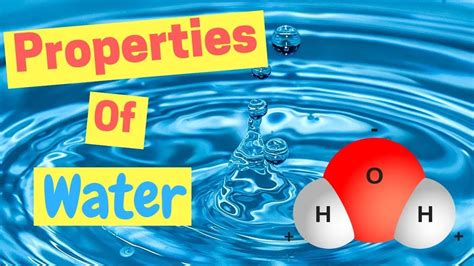 C. . Properties of water quizlet